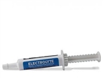 Electrolyte Syringe Paste Boost - 30ml