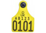 Allflex Replacement Cattle Tag