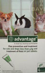 Advantage 40 Spot on (Small Cat / Dog/ Rabbit)  - 4 pipettes