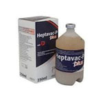 Heptavac P Plus 