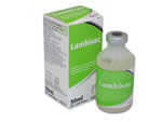 Lambivac